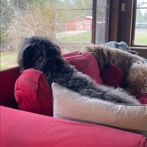 Meet your Posher, Kristine